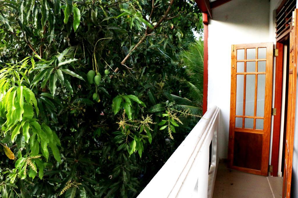 The Cool Nest Yala Hotel Tissamaharama Exteriér fotografie